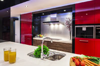 Leamonsley kitchen extensions